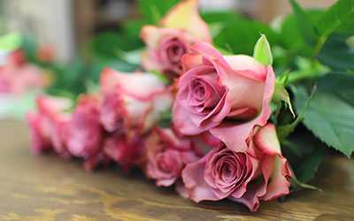 flower shop webster texas
